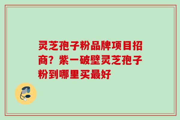 灵芝孢子粉品牌项目招商？紫一破壁灵芝孢子粉到哪里买最好