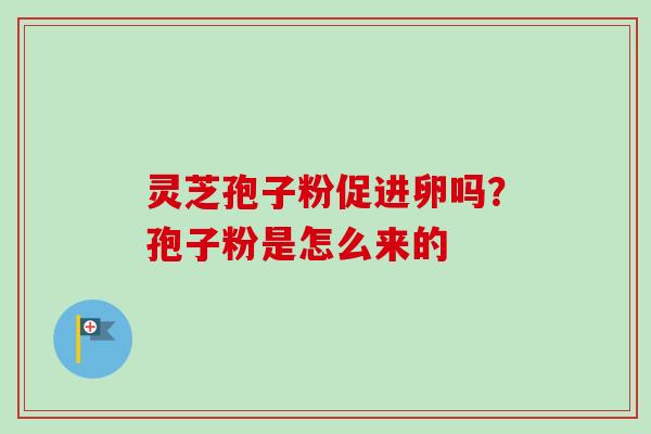灵芝孢子粉促进卵吗？孢子粉是怎么来的