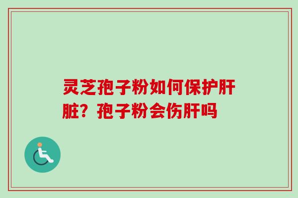 灵芝孢子粉如何保护肝脏？孢子粉会伤肝吗