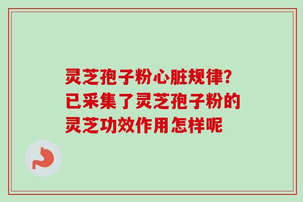灵芝孢子粉心脏规律？已采集了灵芝孢子粉的灵芝功效作用怎样呢
