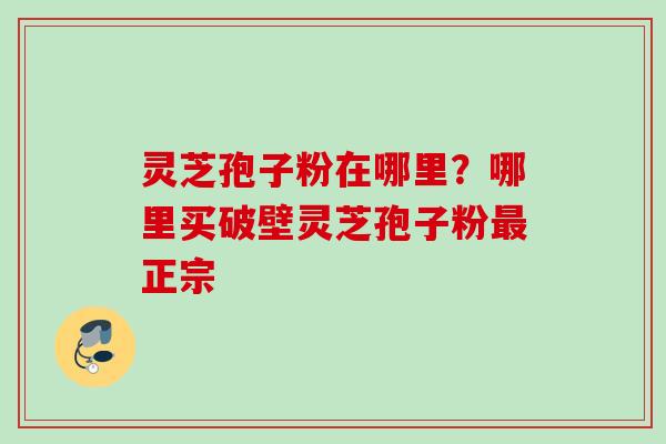 灵芝孢子粉在哪里？哪里买破壁灵芝孢子粉最正宗