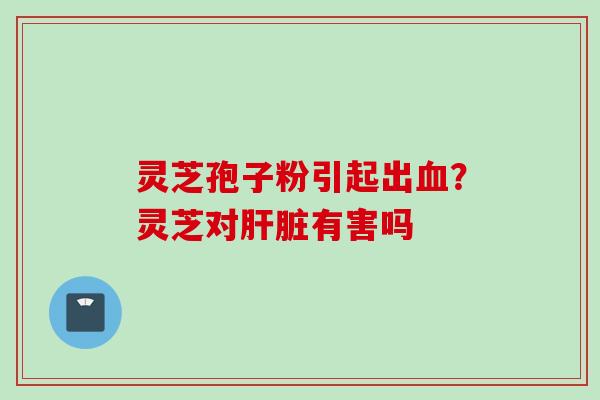 灵芝孢子粉引起出血？灵芝对肝脏有害吗