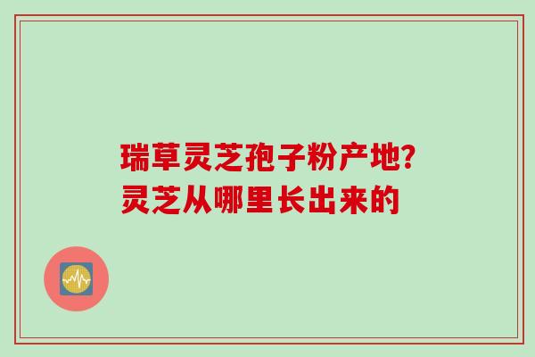 瑞草灵芝孢子粉产地？灵芝从哪里长出来的