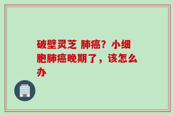 破壁灵芝 肺癌？小细胞肺癌晚期了，该怎么办