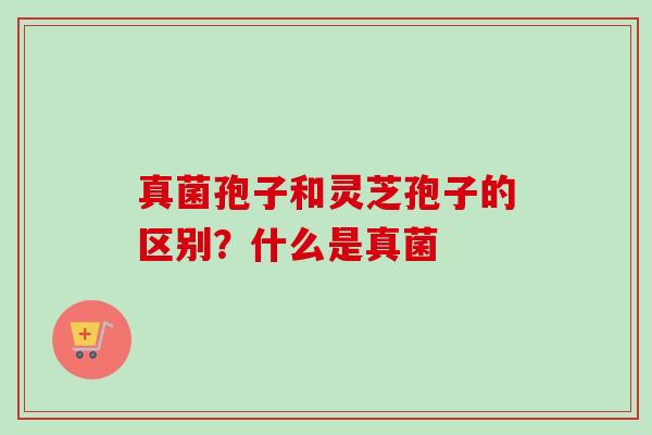 真菌孢子和灵芝孢子的区别？什么是真菌