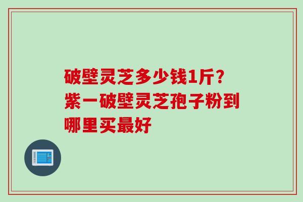 破壁灵芝多少钱1斤？紫一破壁灵芝孢子粉到哪里买最好