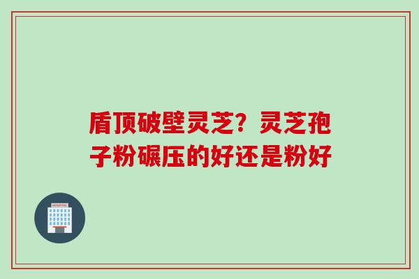 盾顶破壁灵芝？灵芝孢子粉碾压的好还是粉好