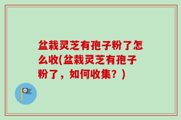 盆栽灵芝有孢子粉了怎么收(盆栽灵芝有孢子粉了，如何收集？)