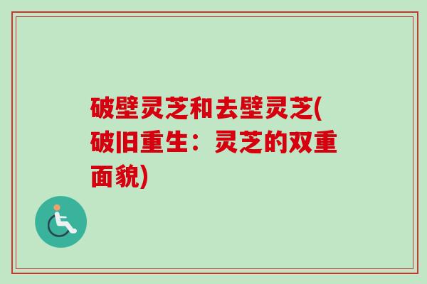破壁灵芝和去壁灵芝(破旧重生：灵芝的双重面貌)