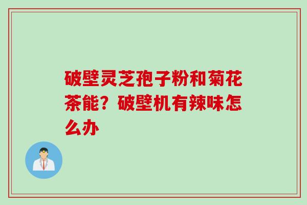 破壁灵芝孢子粉和菊花茶能？破壁机有辣味怎么办