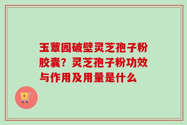 玉蕈园破壁灵芝孢子粉胶囊？灵芝孢子粉功效与作用及用量是什么