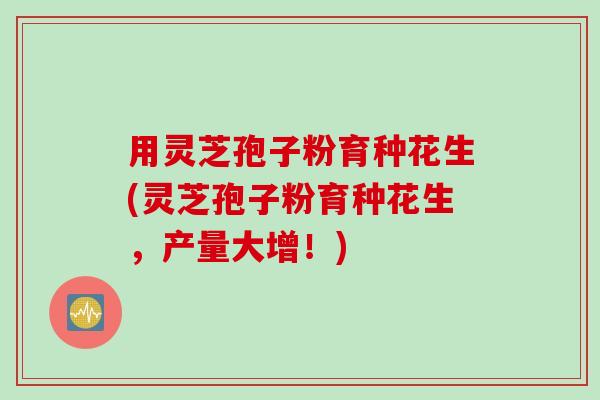 用灵芝孢子粉育种花生(灵芝孢子粉育种花生，产量大增！)