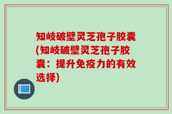 知岐破壁灵芝孢子胶囊(知岐破壁灵芝孢子胶囊：提升免疫力的有效选择)