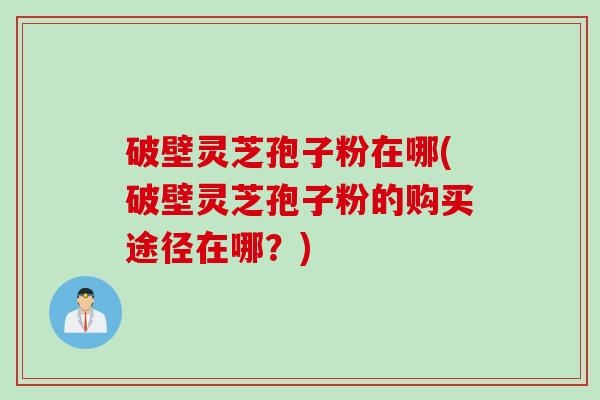 破壁灵芝孢子粉在哪(破壁灵芝孢子粉的购买途径在哪？)