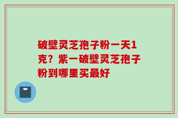 破壁灵芝孢子粉一天1克？紫一破壁灵芝孢子粉到哪里买最好