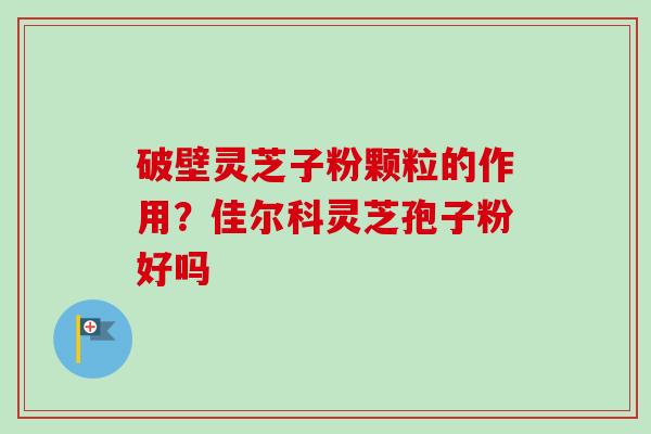 破壁灵芝子粉颗粒的作用？佳尔科灵芝孢子粉好吗