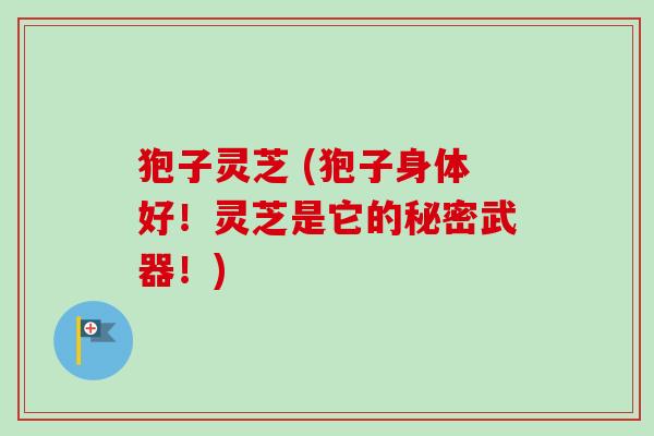 狍子灵芝 (狍子身体好！灵芝是它的秘密武器！)