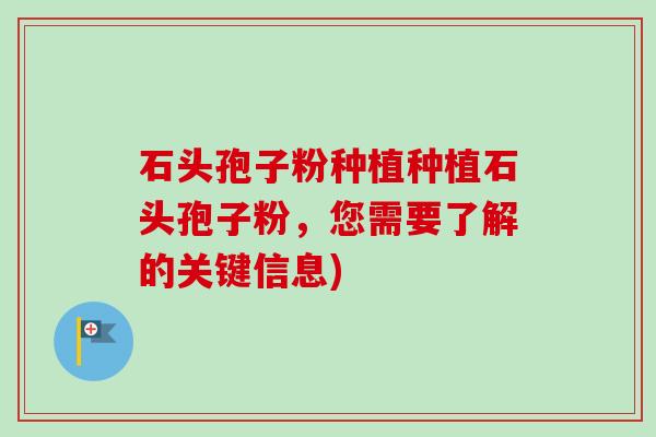 石头孢子粉种植种植石头孢子粉，您需要了解的关键信息)
