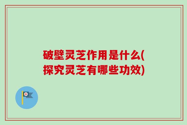 破壁灵芝作用是什么(探究灵芝有哪些功效)