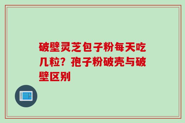 破壁灵芝包子粉每天吃几粒？孢子粉破壳与破壁区别