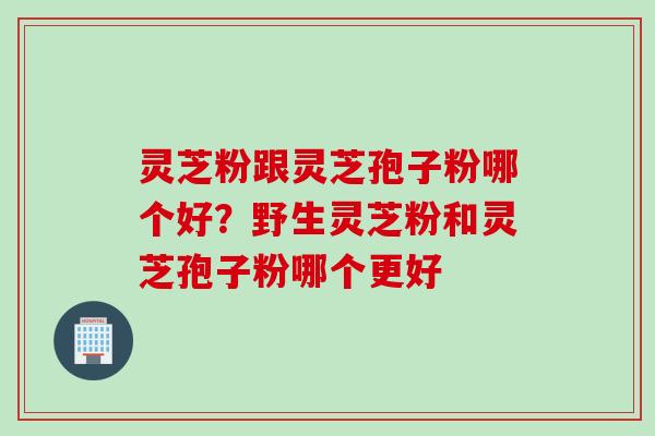 灵芝粉跟灵芝孢子粉哪个好？野生灵芝粉和灵芝孢子粉哪个更好