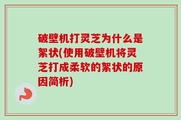 破壁机打灵芝为什么是絮状(使用破壁机将灵芝打成柔软的絮状的原因简析)