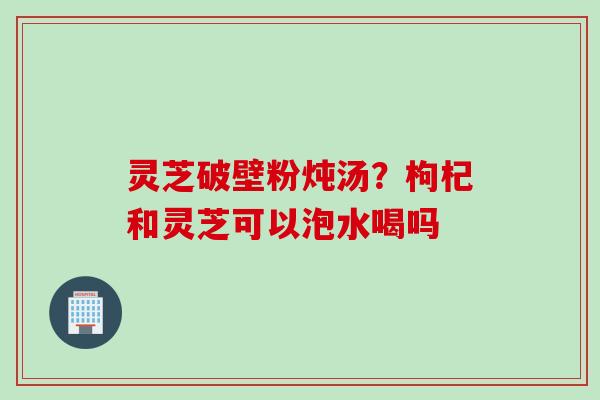灵芝破壁粉炖汤？枸杞和灵芝可以泡水喝吗