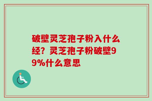 破壁灵芝孢子粉入什么经？灵芝孢子粉破壁99%什么意思