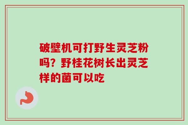破壁机可打野生灵芝粉吗？野桂花树长出灵芝样的菌可以吃