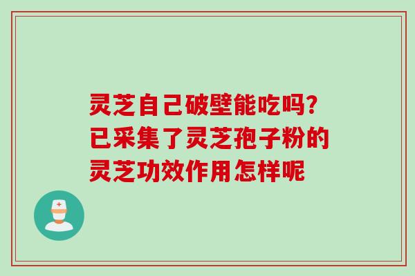 灵芝自己破壁能吃吗？已采集了灵芝孢子粉的灵芝功效作用怎样呢