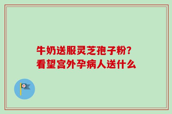 牛奶送服灵芝孢子粉？看望宫外孕病人送什么