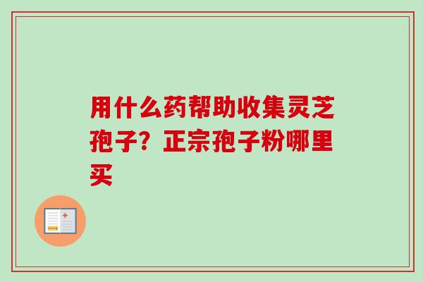 用什么药帮助收集灵芝孢子?正宗孢子粉哪里买 用什么药帮助收集灵芝孢子?正宗孢子粉哪里买