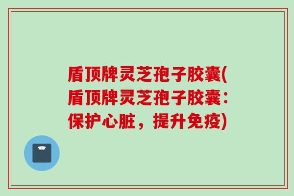 盾顶牌灵芝孢子胶囊(盾顶牌灵芝孢子胶囊：保护心脏，提升免疫)