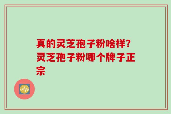 真的灵芝孢子粉啥样？灵芝孢子粉哪个牌子正宗