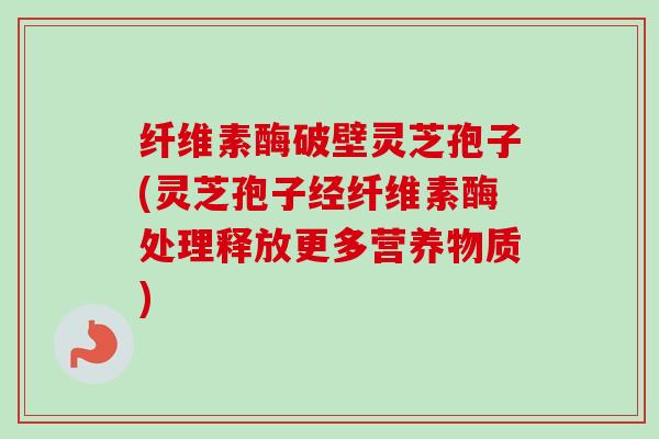纤维素酶破壁灵芝孢子(灵芝孢子经纤维素酶处理释放更多营养物质) 纤维素酶破壁灵芝孢子(灵芝孢子经纤维素酶处理释放更多营养物质)