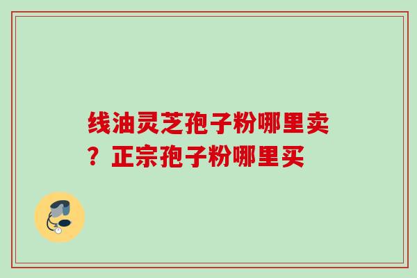 线油灵芝孢子粉哪里卖？正宗孢子粉哪里买