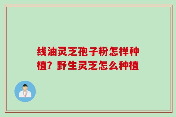 线油灵芝孢子粉怎样种植？野生灵芝怎么种植