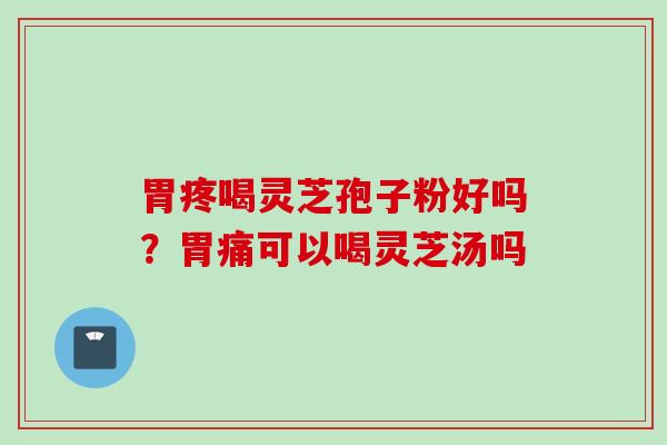 胃疼喝灵芝孢子粉好吗？胃痛可以喝灵芝汤吗