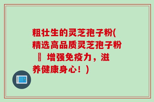 粗壮生的灵芝孢子粉(精选高品质灵芝孢子粉 – 增强免疫力，滋养健康身心！)