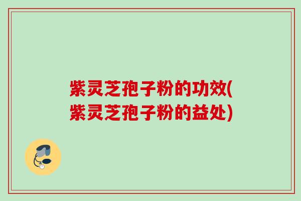 紫灵芝孢子粉的功效(紫灵芝孢子粉的益处)