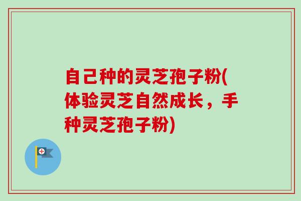 自己种的灵芝孢子粉(体验灵芝自然成长，手种灵芝孢子粉)