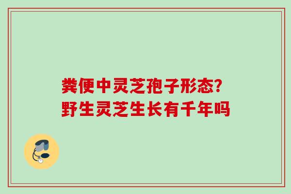 粪便中灵芝孢子形态？野生灵芝生长有千年吗