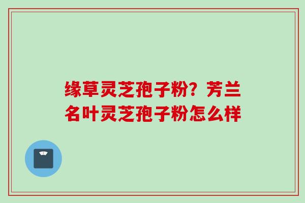 缘草灵芝孢子粉？芳兰名叶灵芝孢子粉怎么样