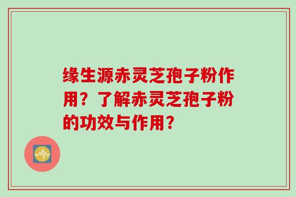 缘生源赤灵芝孢子粉作用？了解赤灵芝孢子粉的功效与作用？