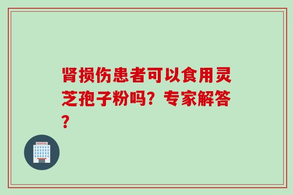 肾损伤患者可以食用灵芝孢子粉吗？专家解答？