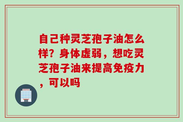 自己种灵芝孢子油怎么样？身体虚弱，想吃灵芝孢子油来提高免疫力，可以吗