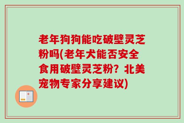老年狗狗能吃破壁灵芝粉吗(老年犬能否安全食用破壁灵芝粉？北美宠物专家分享建议)