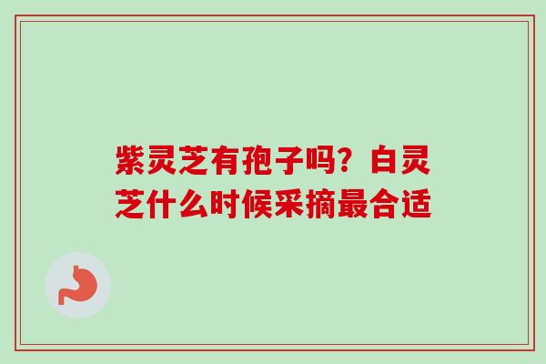 紫灵芝有孢子吗？白灵芝什么时候采摘最合适