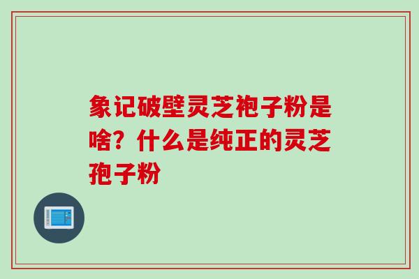 象记破壁灵芝袍子粉是啥?什么是纯正的灵芝孢子粉 象记破壁灵芝袍子粉是啥?什么是纯正的灵芝孢子粉