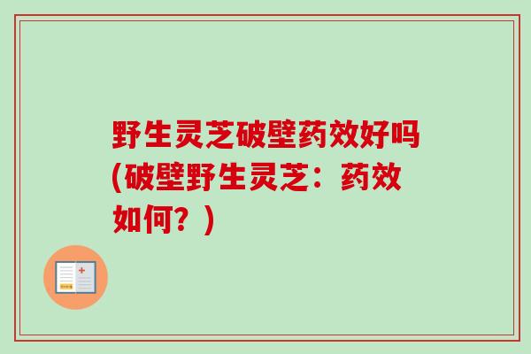 野生灵芝破壁药效好吗(破壁野生灵芝：药效如何？)